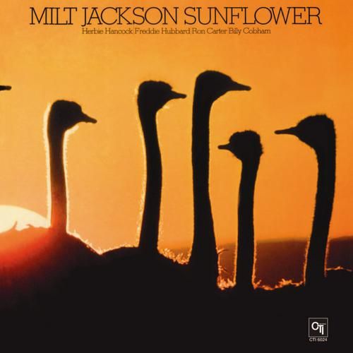 Sunflower cover art