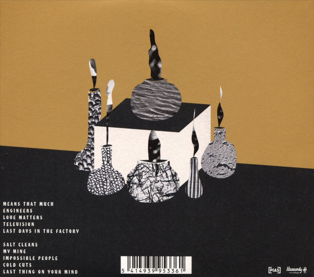 I Romanticize cover art