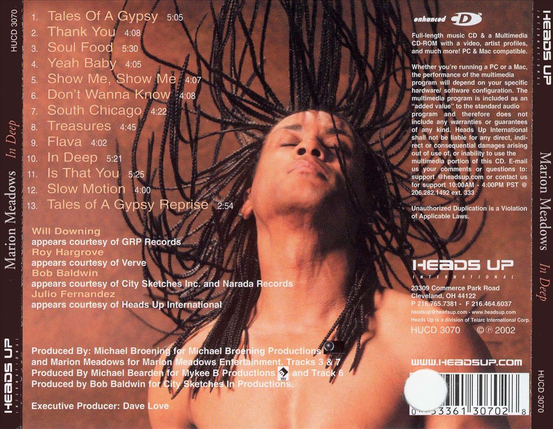 In Deep cover art