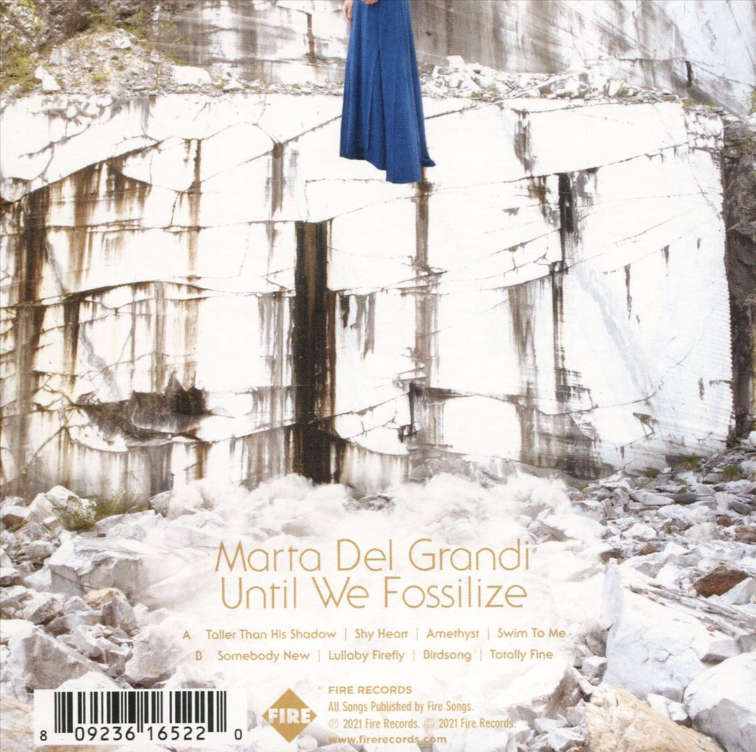 Until We Fossilize cover art