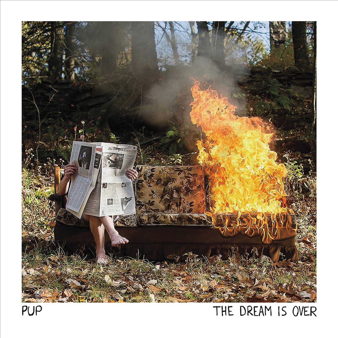 Dream Is Over [LP] cover art