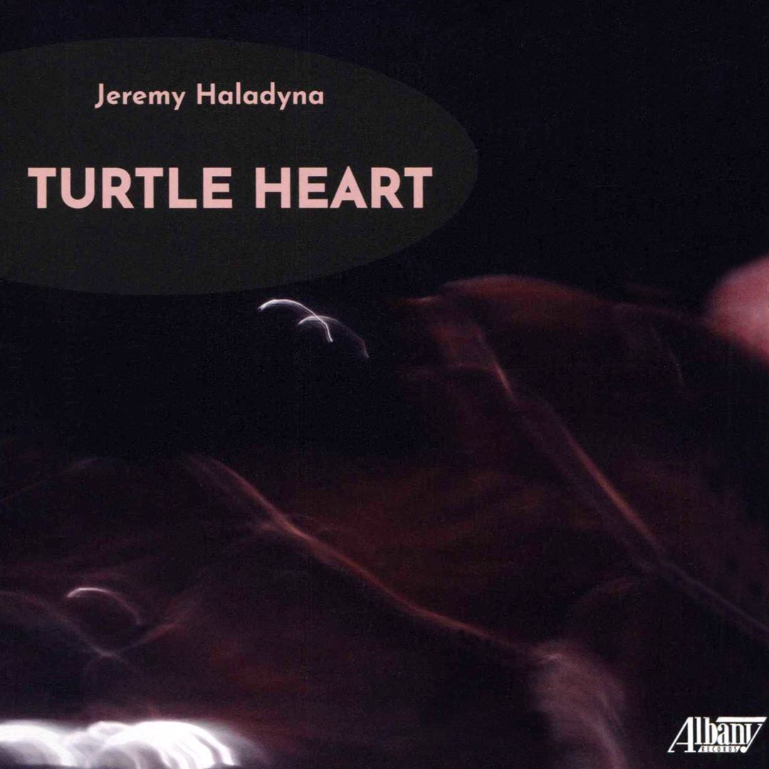 Turtle Heart cover art