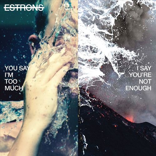 You Say I'm Too Much, I Say You're Not Enough cover art