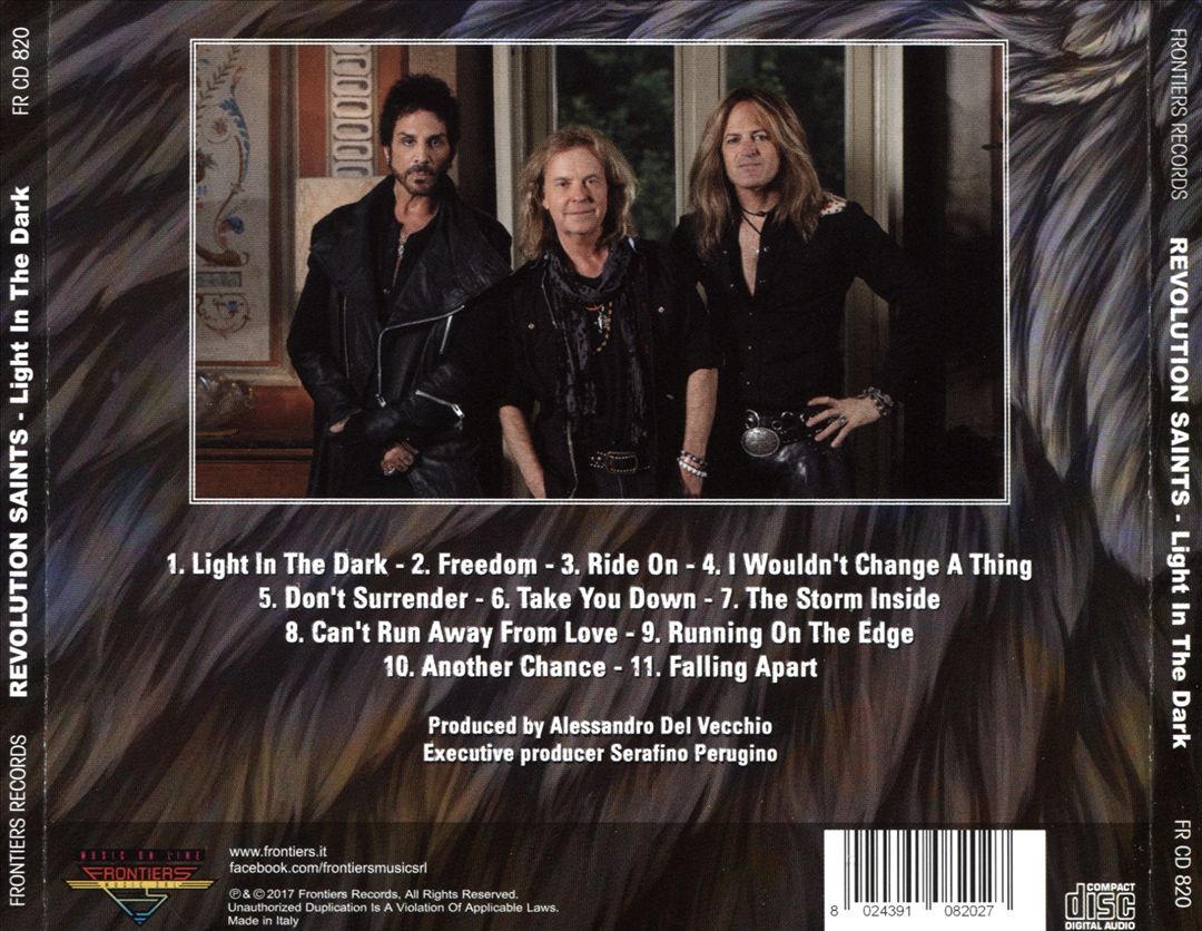 Light in the Dark cover art