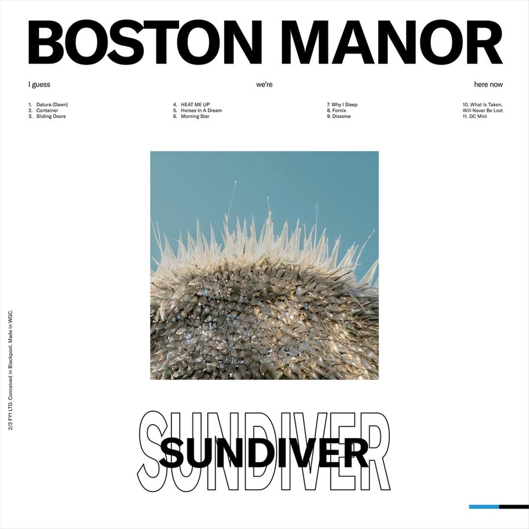 Sundiver cover art