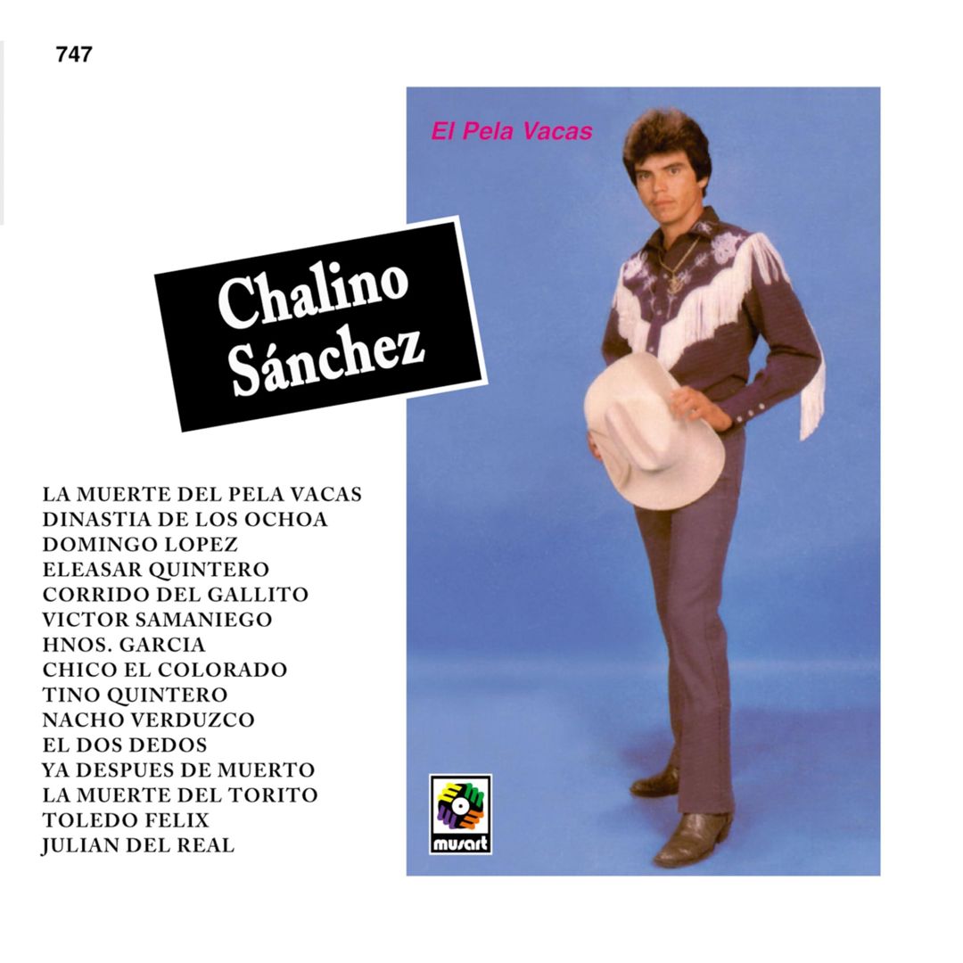 Pela Vacas cover art