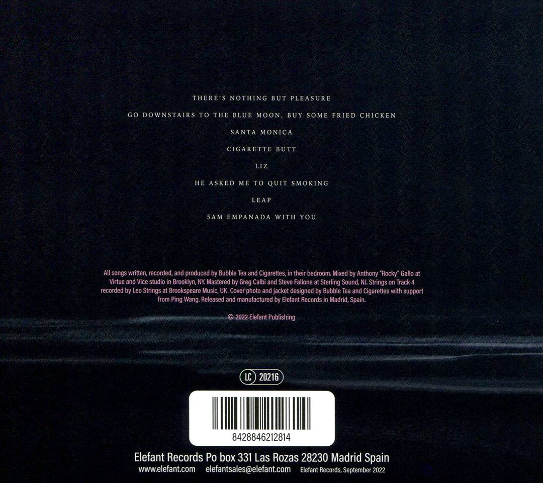 There's Nothing But Pleasure cover art