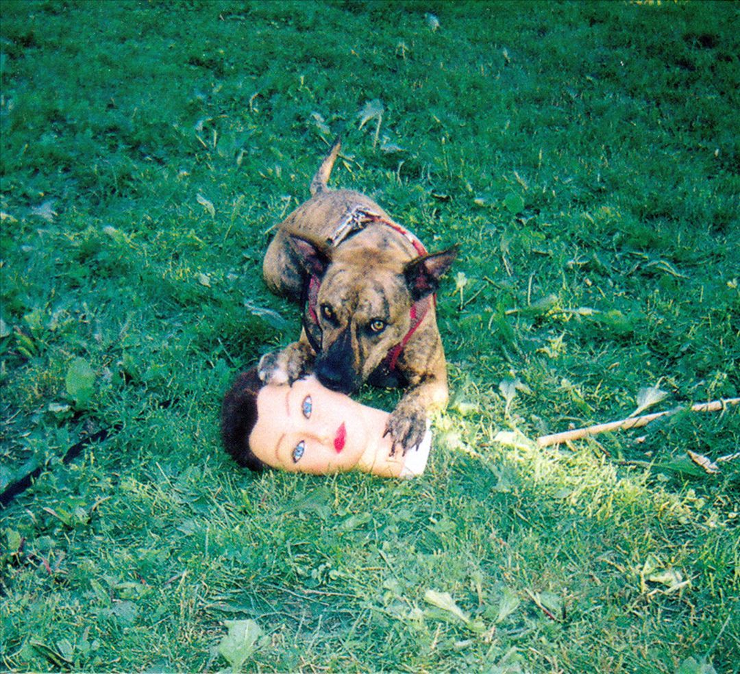Cody cover art