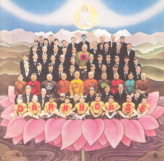 Dark Horse [LP] cover art
