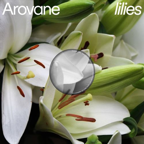 Lilies cover art
