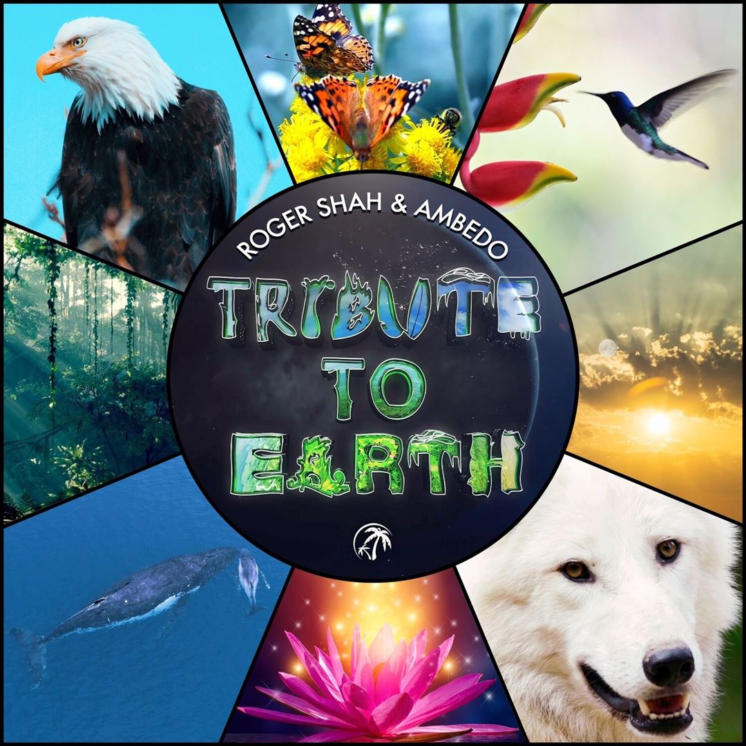 Tribute to Earth cover art