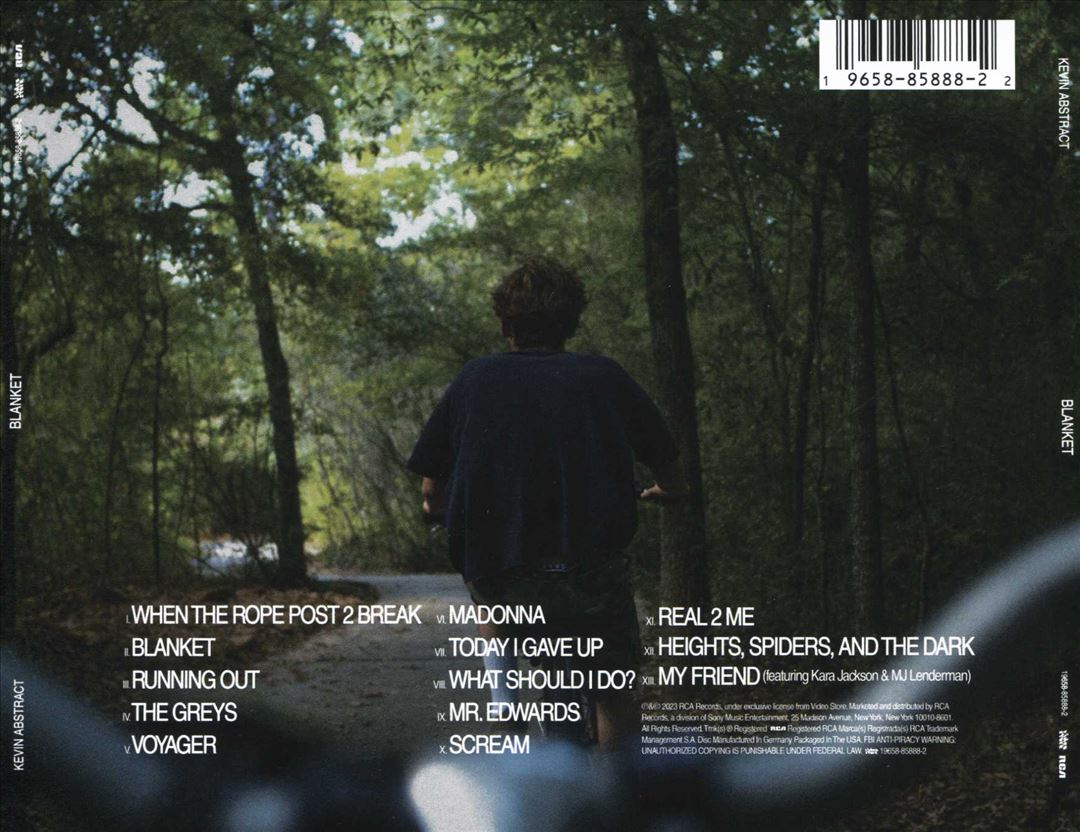 Blanket cover art