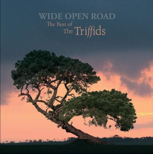Wide Open Road: The Best of the Triffids cover art