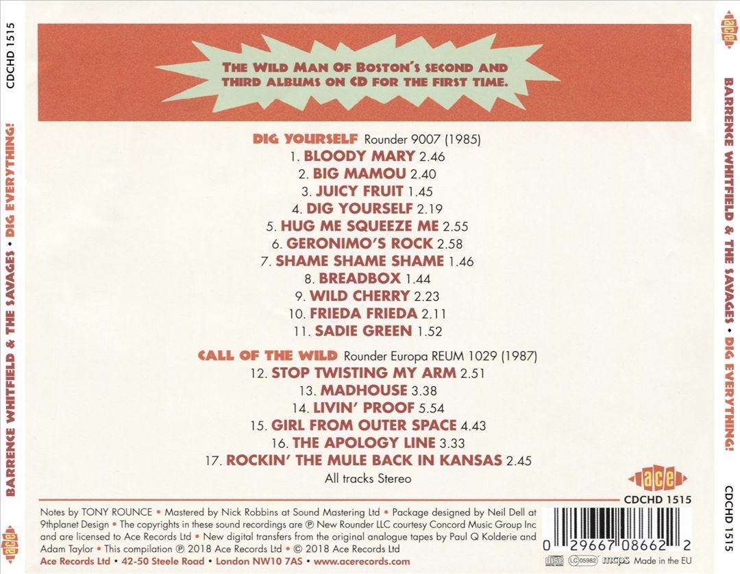 Dig Everything! cover art