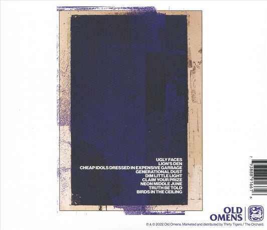 Birds in the Ceiling cover art