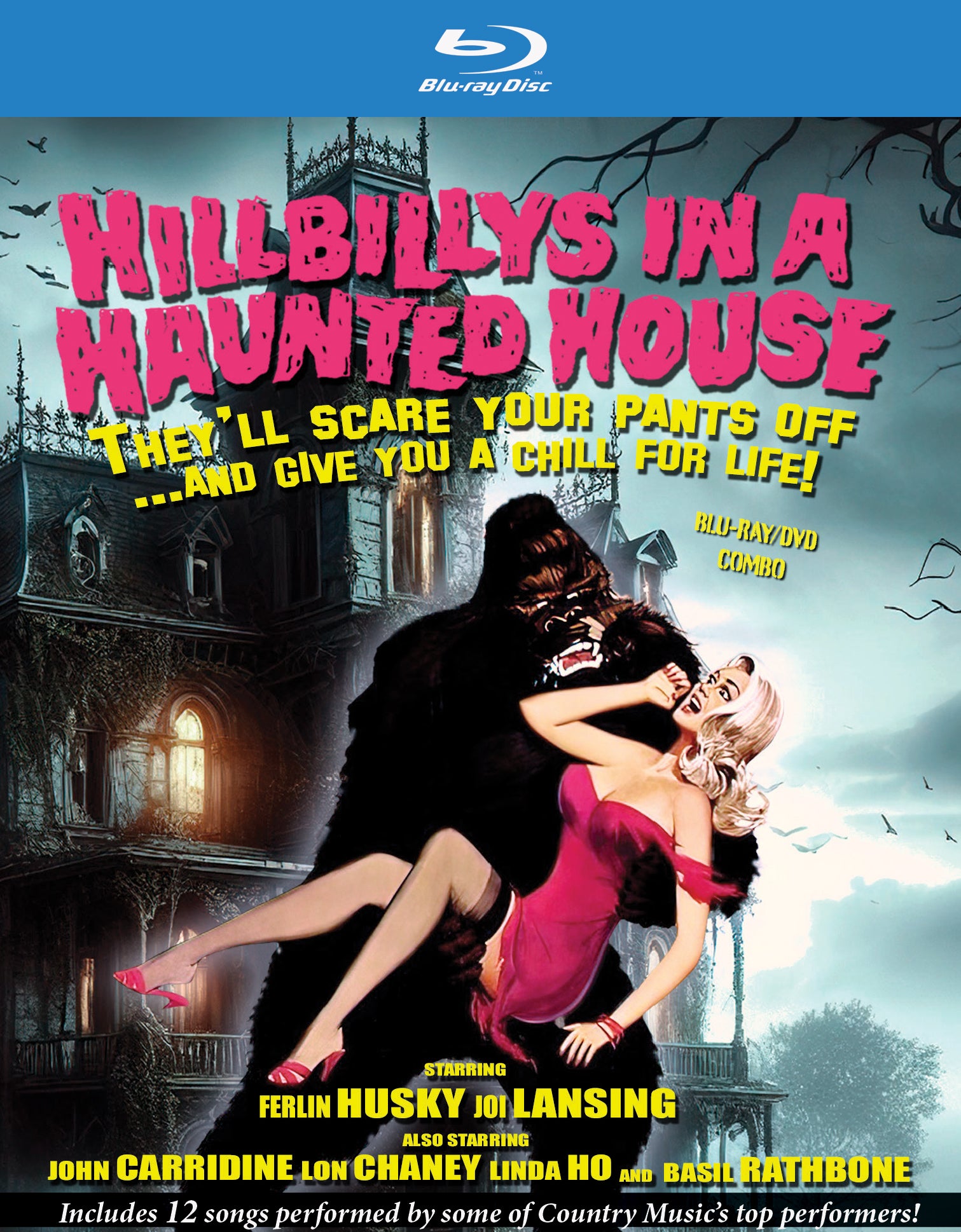 Hillbillys in a Haunted House [Blu-ray] cover art