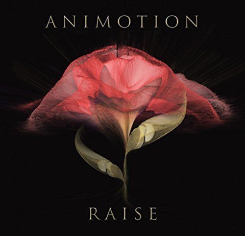Raise Your Expectations cover art