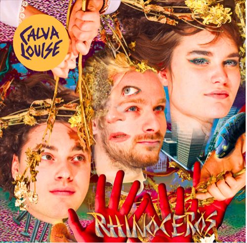 Rhinoceros cover art