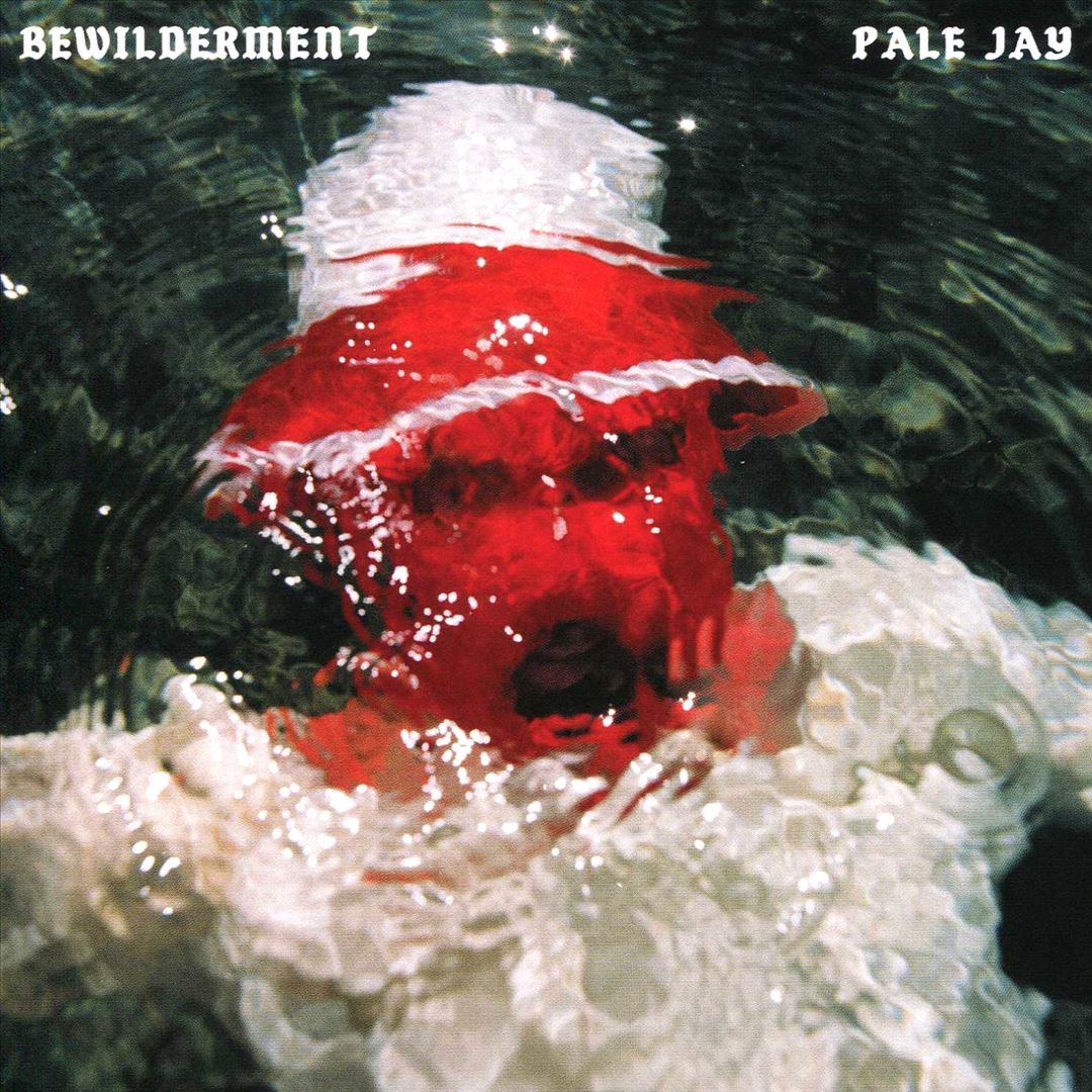 Bewilderment cover art