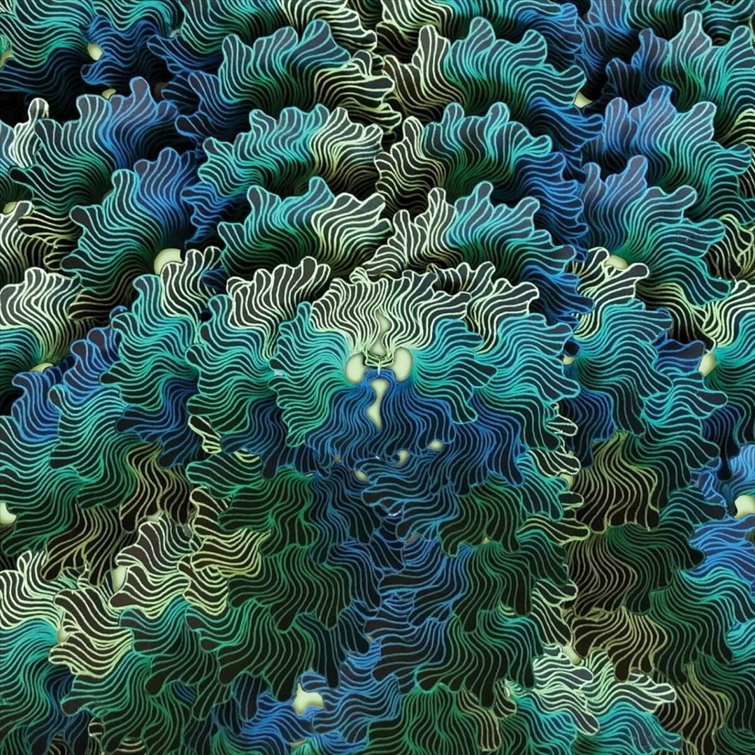 Ngo Ma cover art