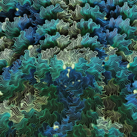 Ngo Ma cover art