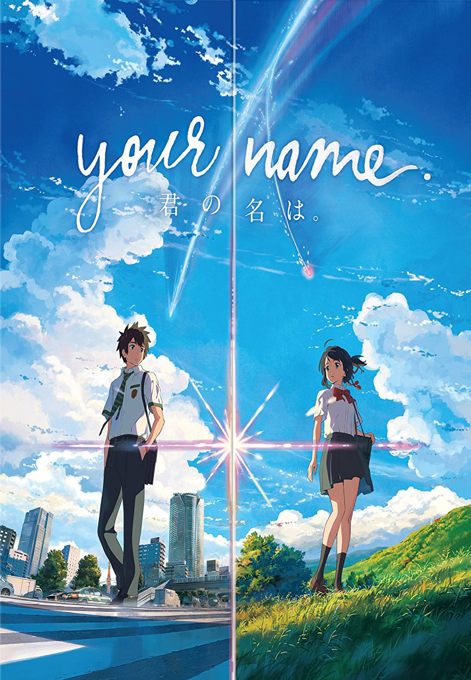 Your Name. [Limited Edition] [Blu-ray/DVD] [2 Discs] cover art