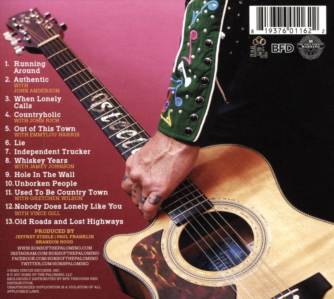Sons of the Palomino cover art