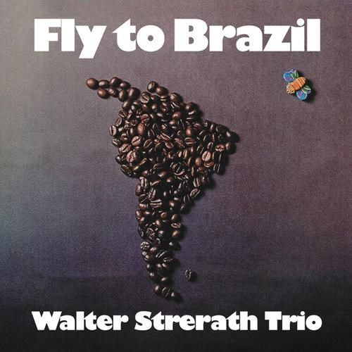 Fly to Brazil cover art