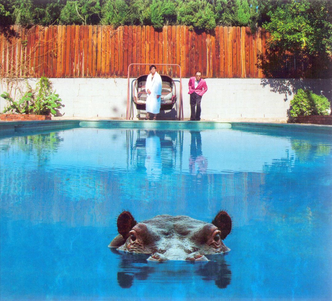 Hippopotamus cover art