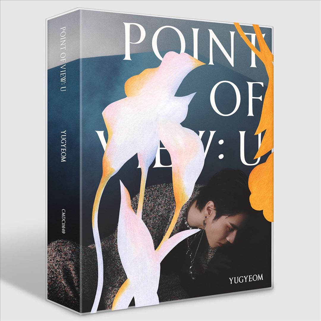 Point of View: U cover art