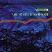 Best of the Icicle Works cover art