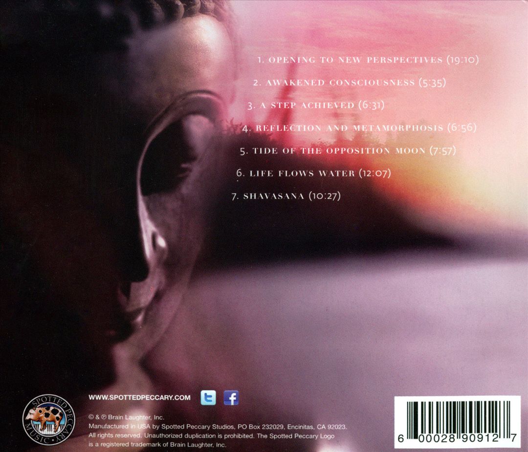 Life Flows Water cover art