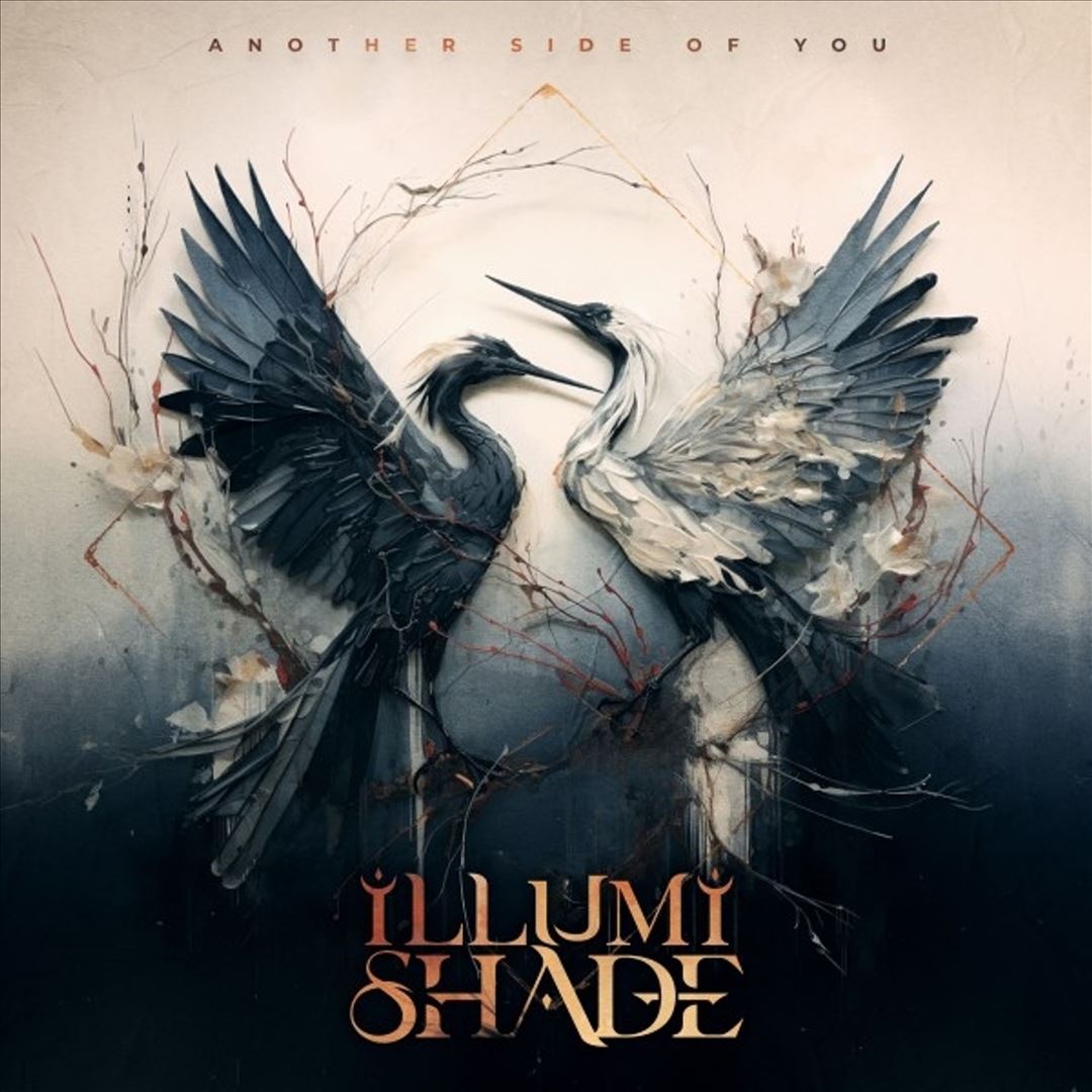 Another Side of You cover art