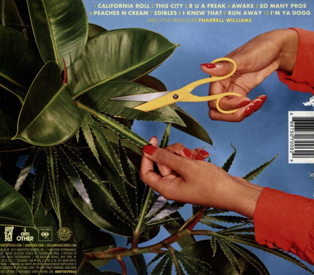 Bush cover art