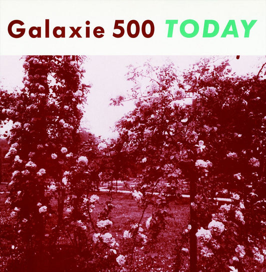 Today cover art