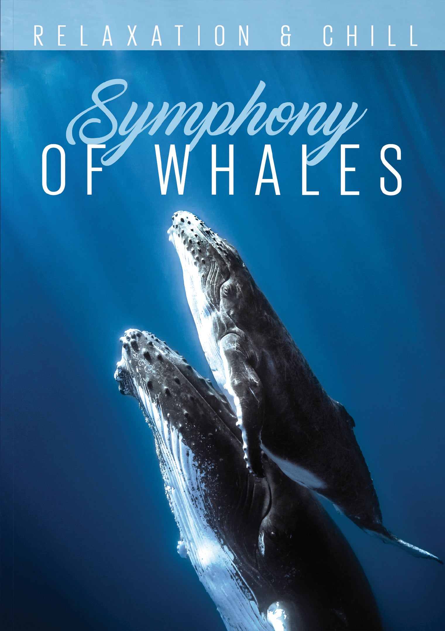 Relax: Symphony of Whales cover art