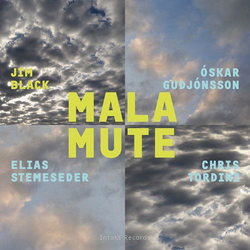 Malamute cover art