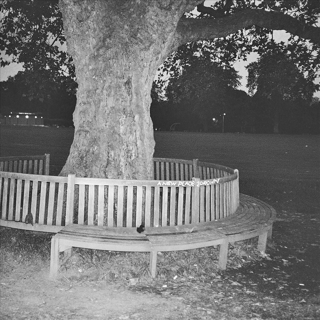 New Place 2 Drown cover art