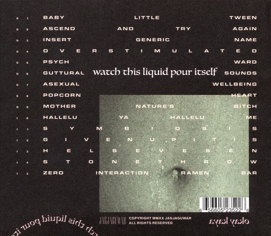 Watch This Liquid Pour Itself cover art