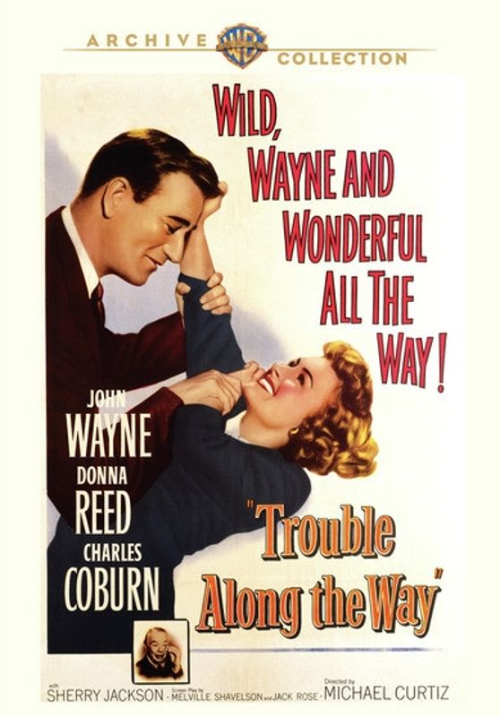 Trouble Along the Way cover art