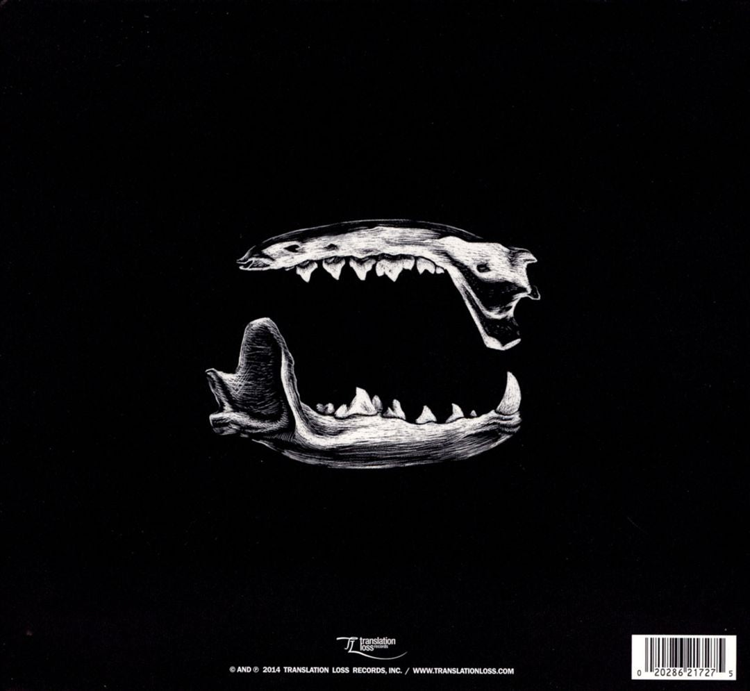 Coffin Wisdom cover art