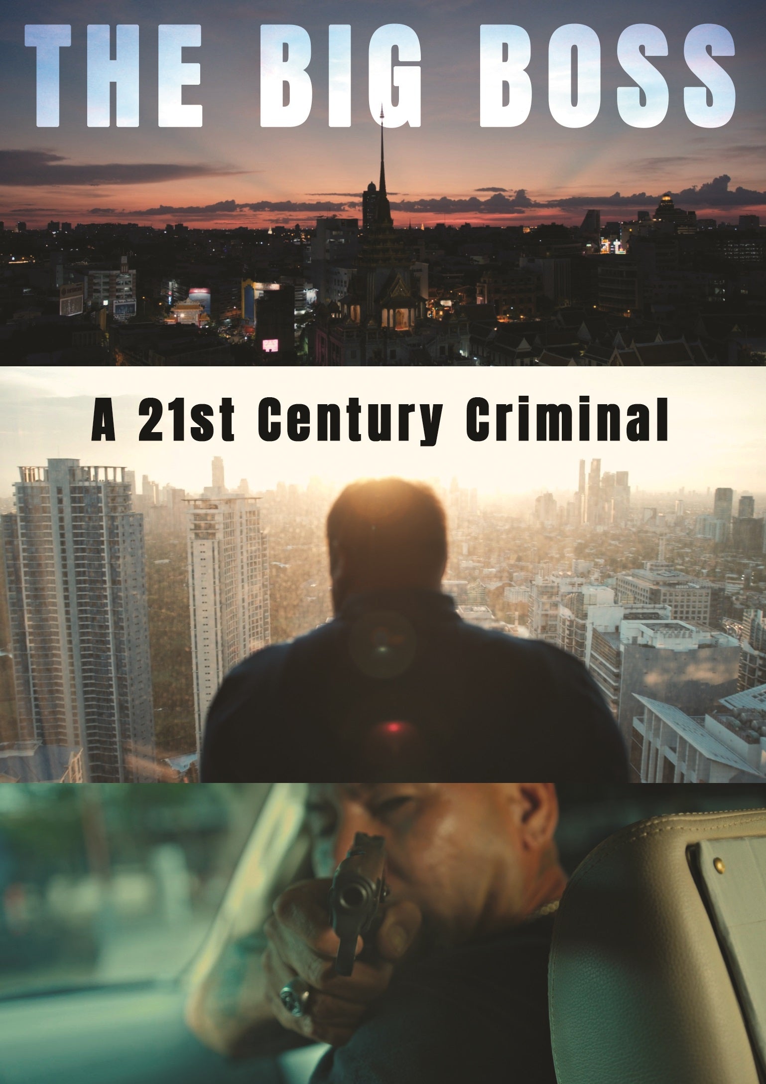 Big Boss: A 21st Century Criminal cover art