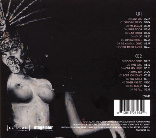 Voodoo Sonic: The Album cover art