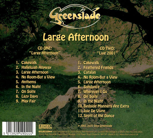 Large Afternoon cover art