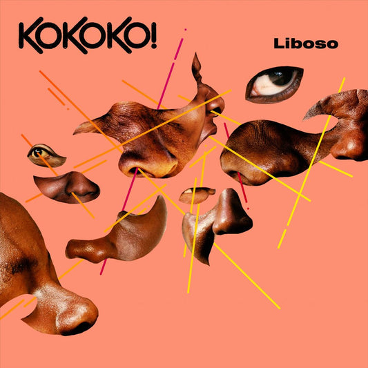 Liboso cover art