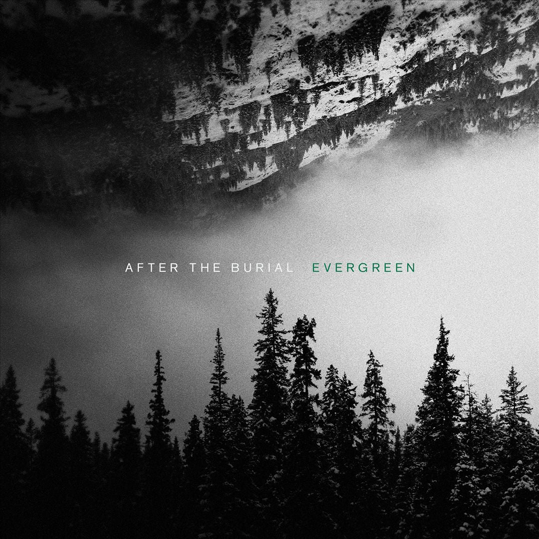 Evergreen cover art
