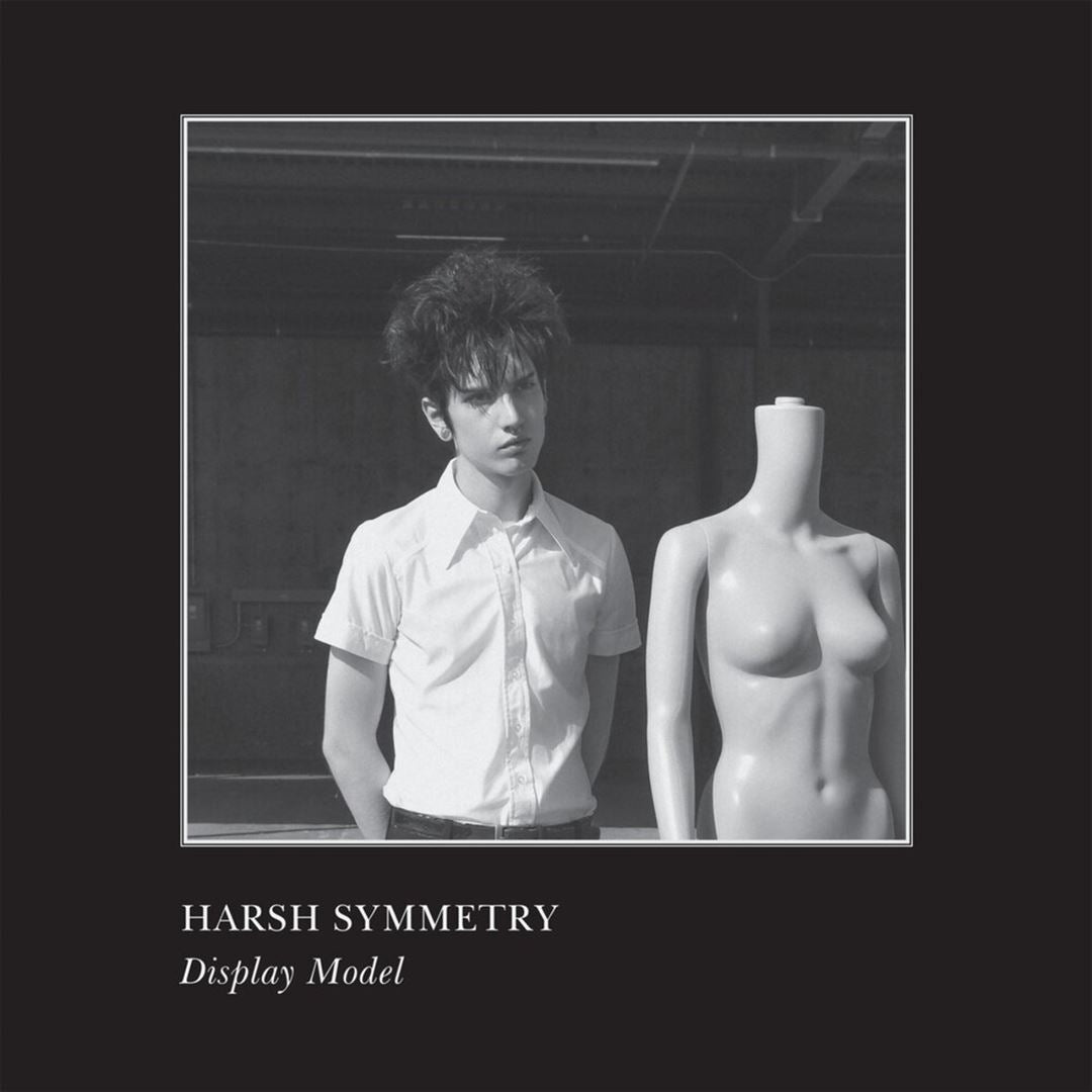 Display Model cover art