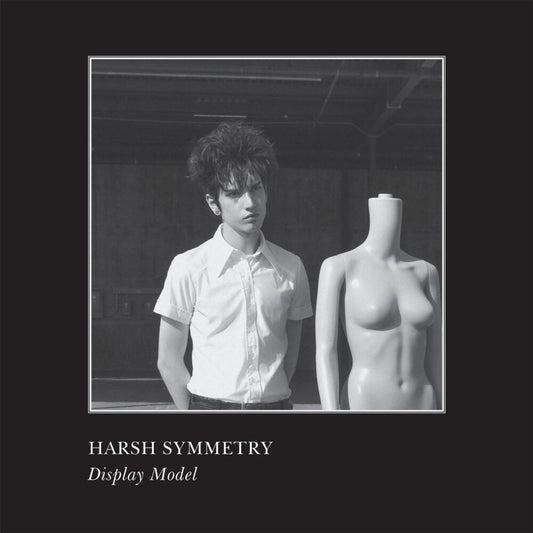 Display Model cover art