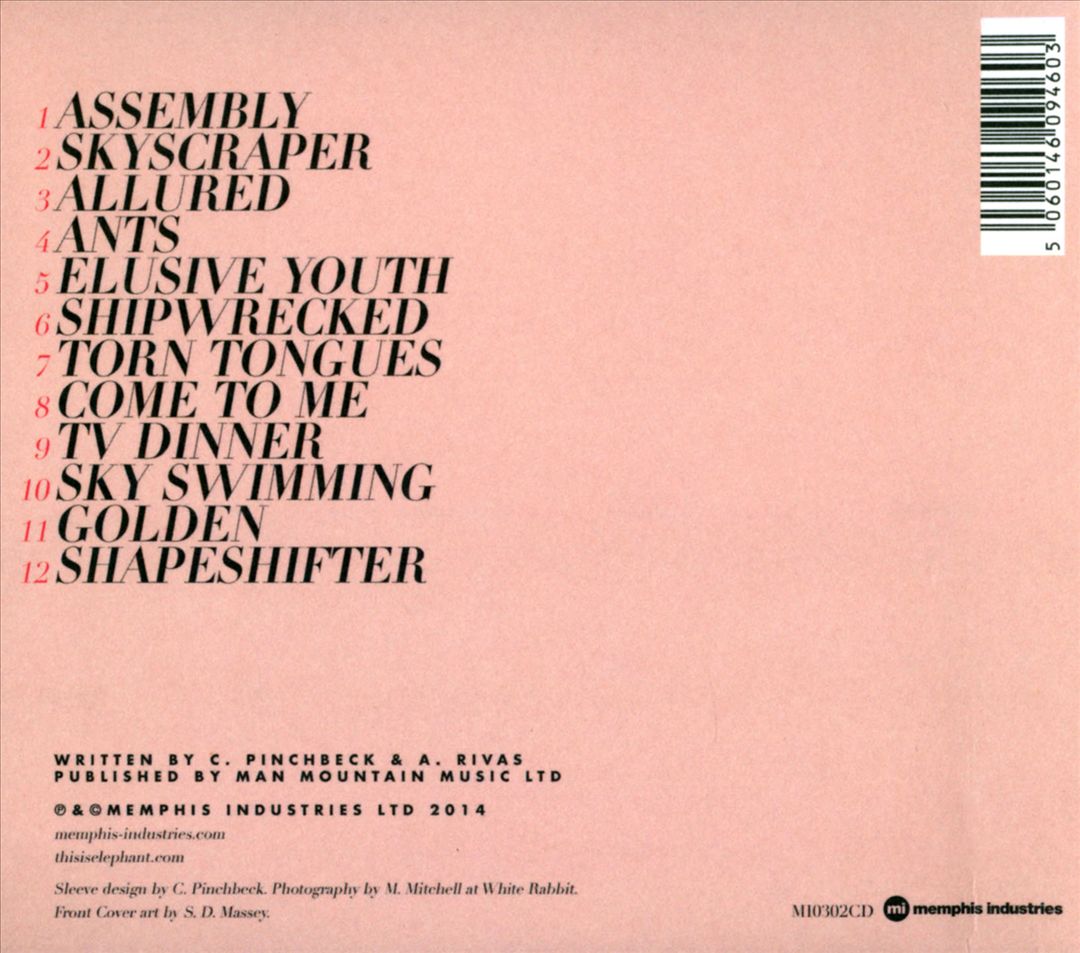 Sky Swimming cover art