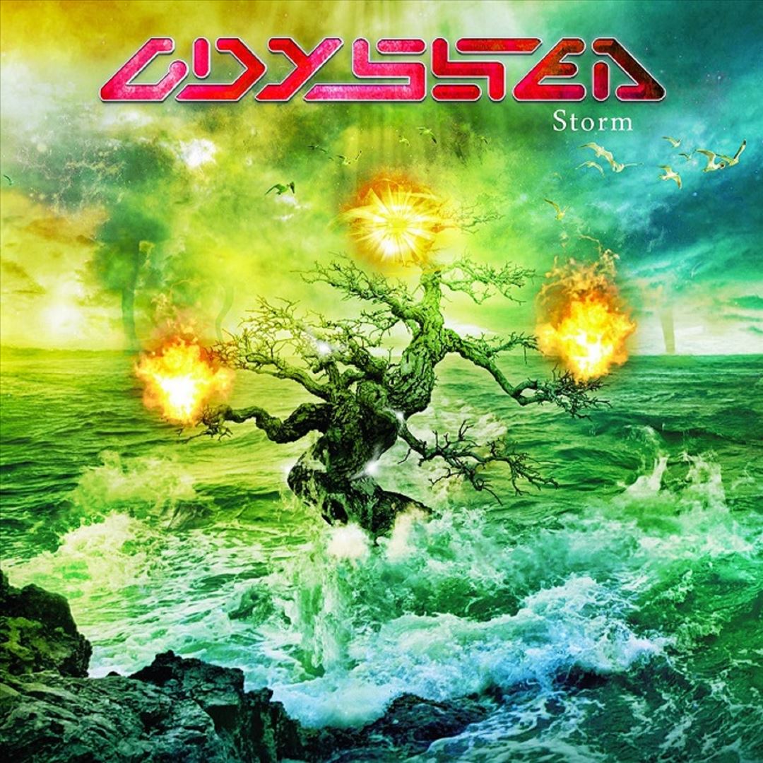 Storm cover art